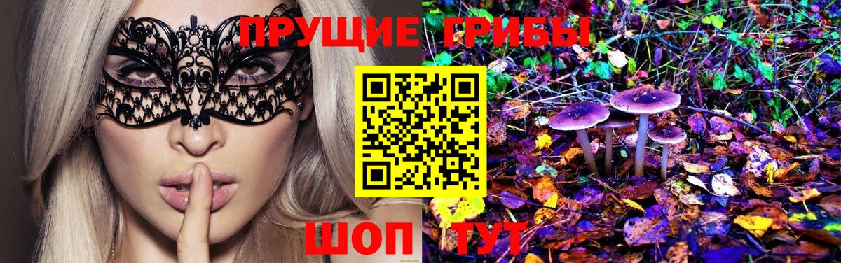Абакан  хочу   Вход с VPN  Галлюциногенные грибы Psilocybe 